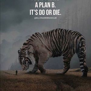 Meet your Posher, Nayoka